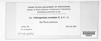 Image Associated With the Occurence